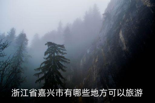 浙江省嘉興市有哪些地方可以旅游