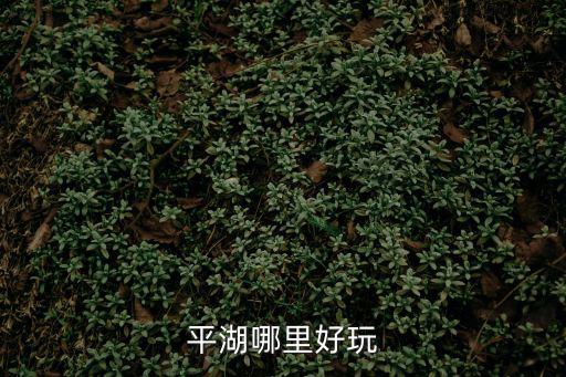 平湖哪里好玩