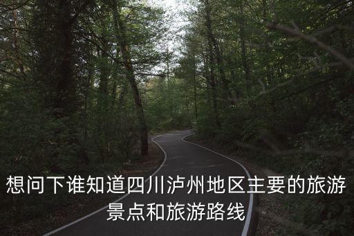 想問下誰知道四川瀘州地區(qū)主要的旅游景點(diǎn)和旅游路線