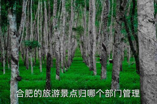 合肥的旅游景點歸哪個部門管理