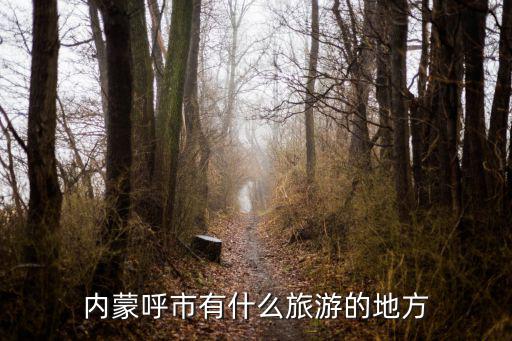 內(nèi)蒙呼市有什么旅游的地方