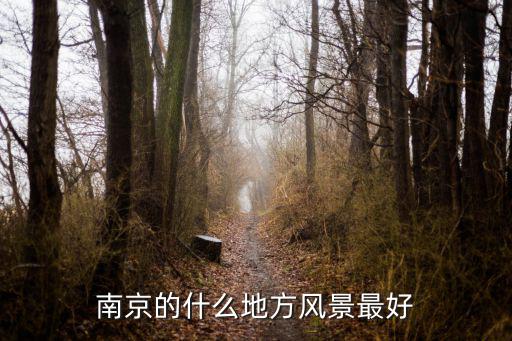 南京的什么地方風(fēng)景最好