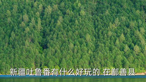 新疆吐魯番有什么好玩的 在鄯善縣