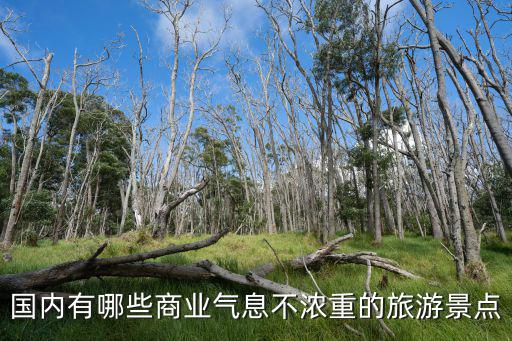 商務(wù)旅游的景區(qū)有哪些，國內(nèi)有哪些商業(yè)氣息不濃重的旅游景點(diǎn)