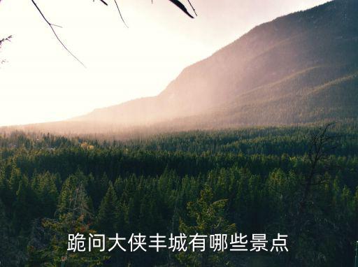 跪問(wèn)大俠豐城有哪些景點(diǎn)