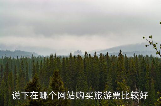 旅游景區(qū)在哪個網(wǎng)買票劃算，說下在哪個網(wǎng)站購買旅游票比較好