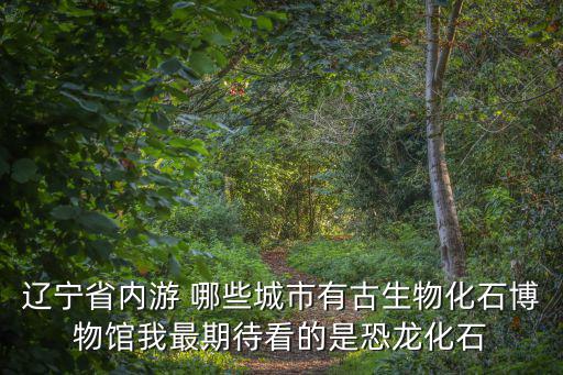 遼寧恐龍旅游景區(qū)在哪個城市，遼寧義縣恐龍化石在哪里啊 具體點