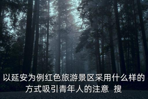 以延安為例紅色旅游景區(qū)采用什么樣的方式吸引青年人的注意  搜