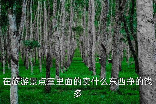 在旅游景點(diǎn)室里面的賣什么東西掙的錢多