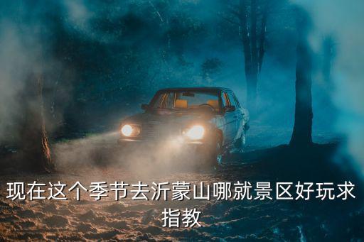沂蒙山旅游區(qū)哪個景區(qū)好一點，沂蒙山有什么好玩的地方
