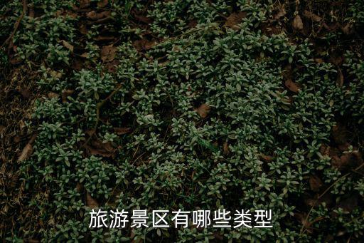 旅游景區(qū)都有哪些分類，旅游景區(qū)有哪些類型