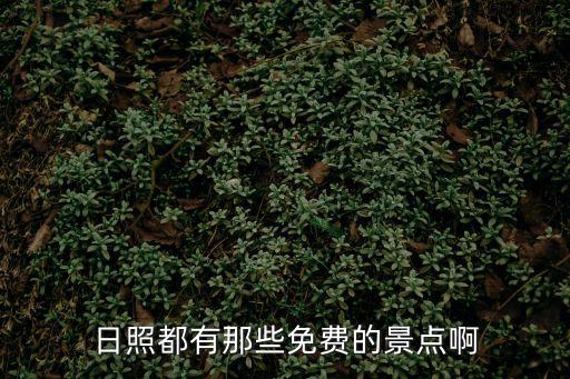 旅游日哪些景區(qū)免費日照，今天國家旅游日 日照哪些景點不要錢啊