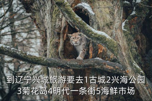到遼寧興城旅游要去1古城2興海公園3菊花島4明代一條街5海鮮市場