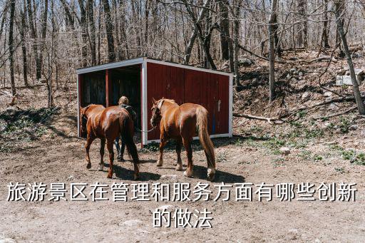 旅游景區(qū)在管理和服務方面有哪些創(chuàng)新的做法
