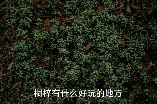 桐梓風(fēng)景旅游景區(qū)有哪些，桐梓縣有哪些地方好玩