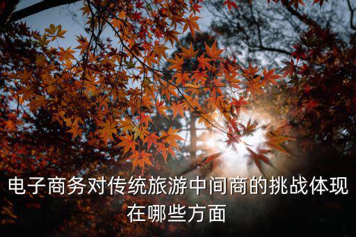 電子商務(wù)對(duì)傳統(tǒng)旅游中間商的挑戰(zhàn)體現(xiàn)在哪些方面