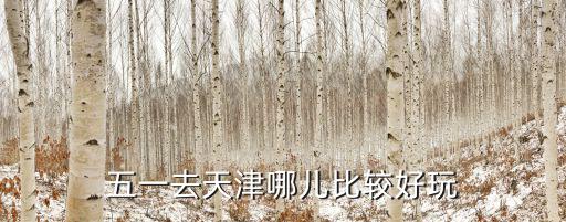 五一去天津哪兒比較好玩