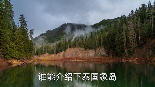 誰能介紹下泰國象島