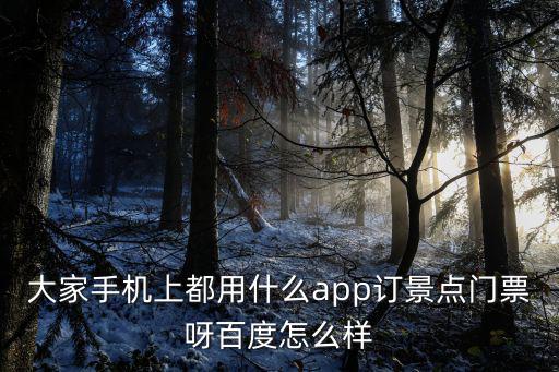 大家手機(jī)上都用什么app訂景點(diǎn)門票呀百度怎么樣