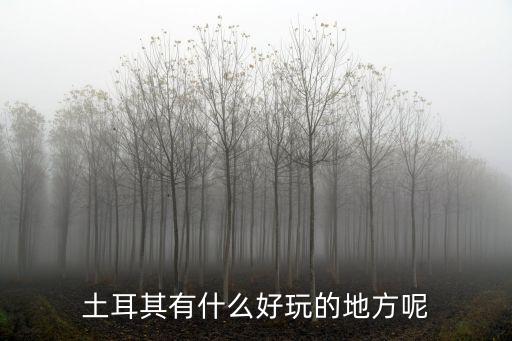 土耳其有什么好玩的地方呢
