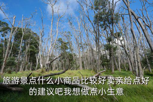 旅游景點什么小商品比較好賣親給點好的建議吧我想做點小生意