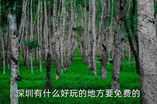 深圳有什么好玩的地方要免費(fèi)的