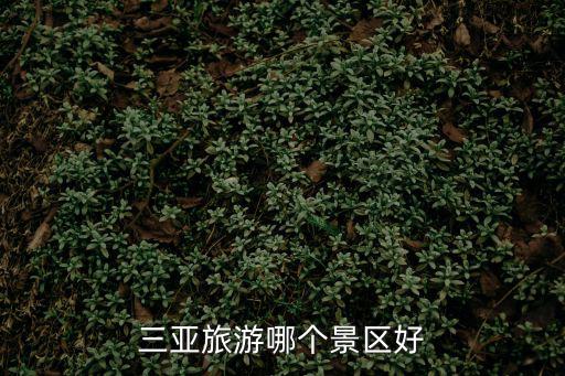 三亞旅游哪個(gè)景區(qū)好