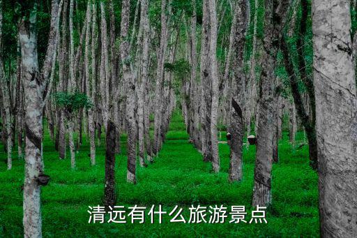 清遠(yuǎn)有什么旅游景點(diǎn)