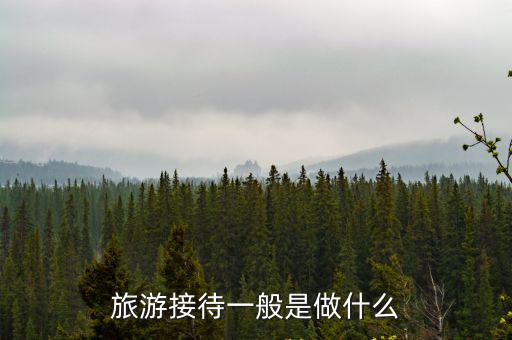 旅游接待一般是做什么