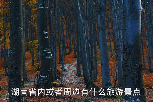 湖南省內(nèi)或者周邊有什么旅游景點