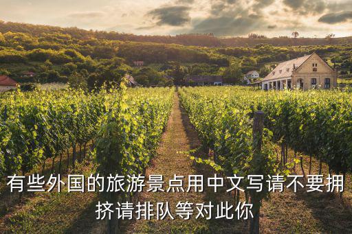 有些外國的旅游景點用中文寫請不要擁擠請排隊等對此你