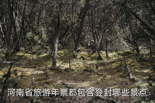 旅游年票都包括哪個(gè)景區(qū)，旅游年票包括哪些景點(diǎn)