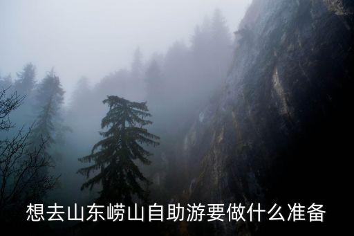 想去山東嶗山自助游要做什么準備