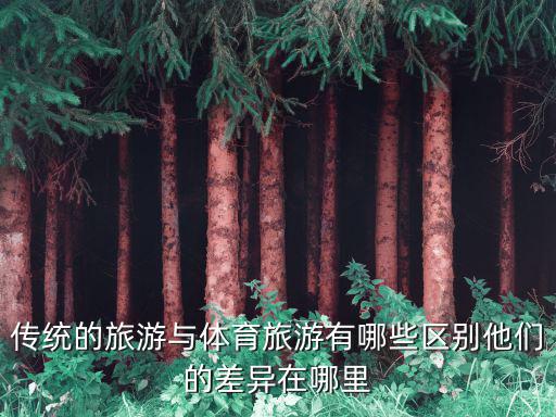 傳統(tǒng)的旅游與體育旅游有哪些區(qū)別他們的差異在哪里