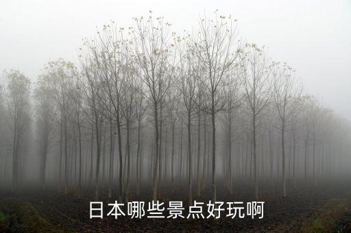 日本哪些景點好玩啊