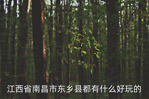 江西省南昌市東鄉(xiāng)縣都有什么好玩的