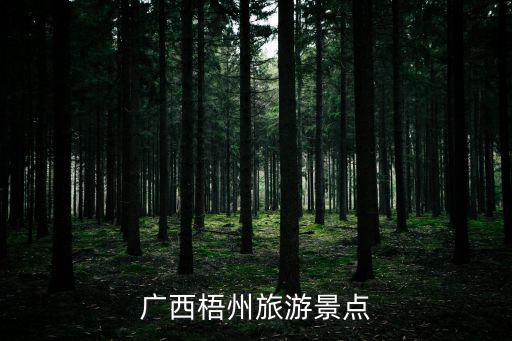 廣西梧州旅游景點(diǎn)