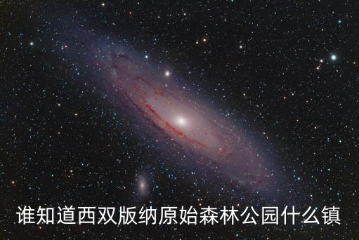 誰知道西雙版納原始森林公園什么鎮(zhèn)