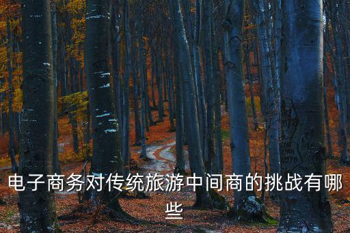 電子商務(wù)對(duì)傳統(tǒng)旅游中間商的挑戰(zhàn)有哪些