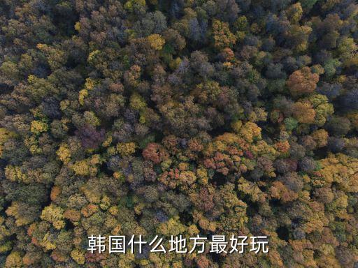韓國什么地方最好玩