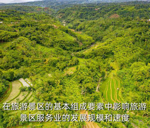 在旅游景區(qū)的基本組成要素中影響旅游景區(qū)服務業(yè)的發(fā)展規(guī)模和速度