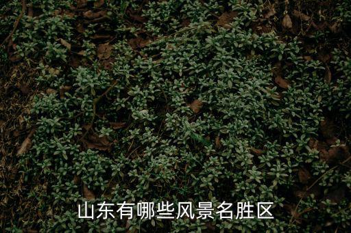 山東哪個地區(qū)有風景區(qū)旅游，山東有什么好的旅游地方