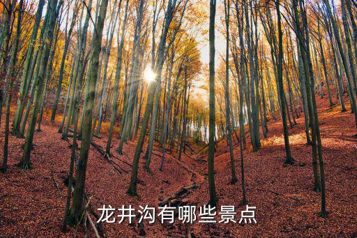 龍井鄉(xiāng)村旅游景區(qū)有哪些，杭州龍井村有什么好玩的東西嗎