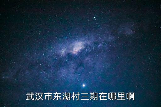 武漢市東湖村三期在哪里啊