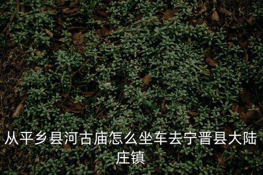 從平鄉(xiāng)縣河古廟怎么坐車去寧晉縣大陸莊鎮(zhèn)