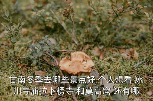 甘南冬季去哪些景點(diǎn)好 個(gè)人想看 冰川寺廟拉卜楞寺 和莫高窟 還有哪