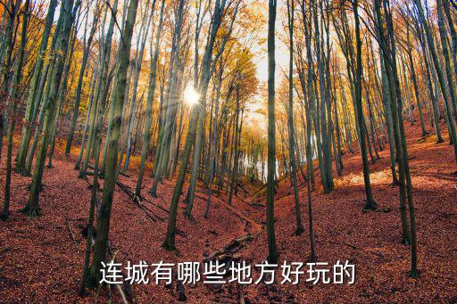 連城有哪些地方好玩的