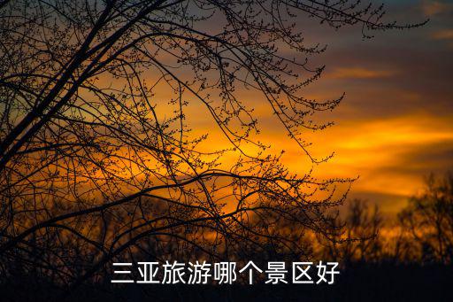 哪個景區(qū)能去三亞旅游的，三亞必去的十大景點有哪些