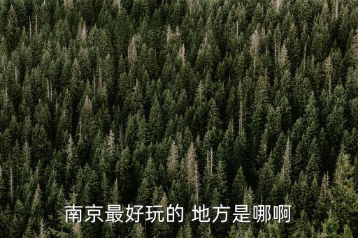 南京哪個地方旅游景區(qū)好玩，南京什么地方最好玩