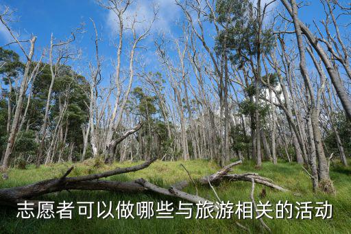 志愿者可以做哪些與旅游相關(guān)的活動(dòng)